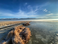Daily Meditation for the Life of Great Salt Lake